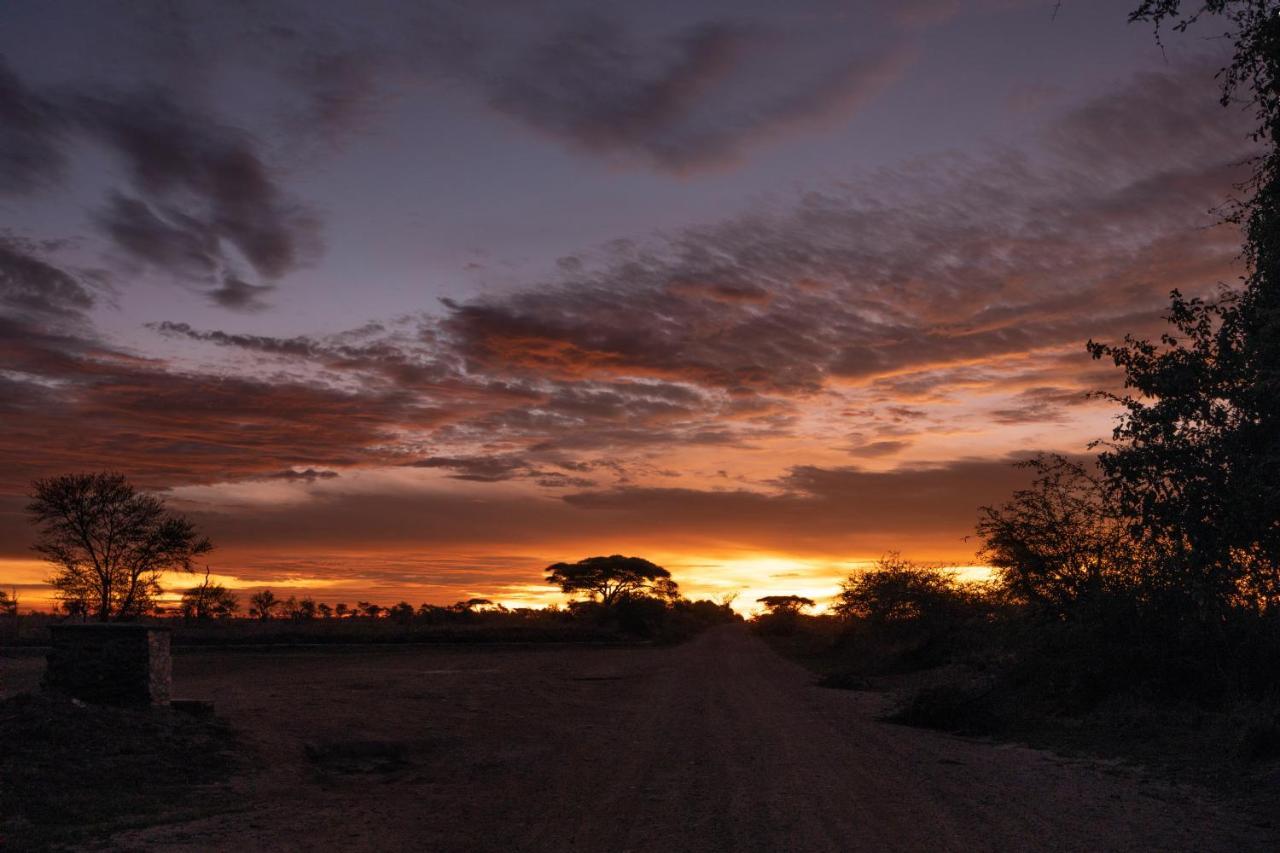 Africa Safari Serengeti Ikoma Camping 外观 照片